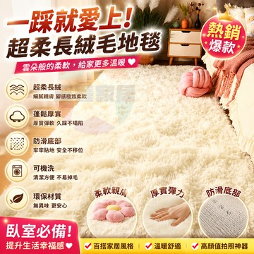 🌸超讚長毛絨北歐風地毯 臺灣少女加厚長毛絨地毯 臥室滿鋪客廳地墊 飄窗牀邊防滑 大面積軟萌地墊