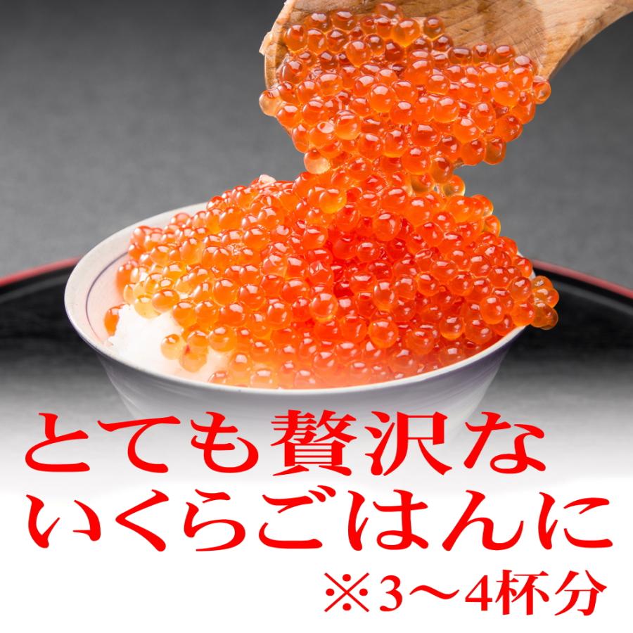 国産 北海道産 いくら 秋鮭のいくら 醤油漬け 200ｇ 冷凍 鮭 魚卵 いくら醤油漬 北海道 秋鮭 秋サケ イクラ 魚卵 家飲み 2〜3人用 いくら 醤油漬け いくら北海道