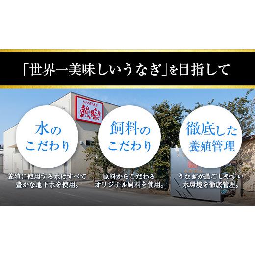 ふるさと納税 宮崎県 ◆宮崎県産ハーブうなぎ蒲焼 3尾(計480g)