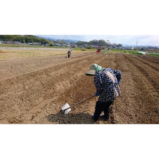 ふるさと納税 高知県 高知市 　高知県産　土佐季節の野菜詰め合せセット