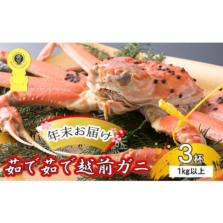 ふるさと納税 茹で越前ガニ食通もうなる本場の味をぜひ、ご堪能ください。約1kg以上×3杯 越前がに 越前かに 越前カニ ずわい.. 福井県若狭町