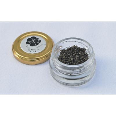 ふるさと納税 日向市 日向キャビア(Hyuga Caviar)20g (冷凍・フレッシュキャビア)