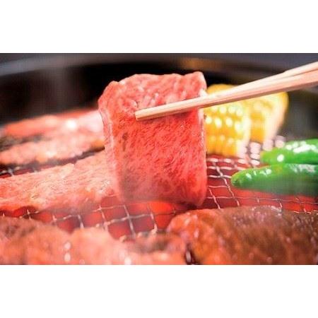 ふるさと納税 丹波牛を味わう 定期便B  丹波牛定期便 食べ比べ定期便 牛肉定期便 焼肉 すき焼き しゃぶしゃぶ 定期便 ロース.. 京都府京丹波町