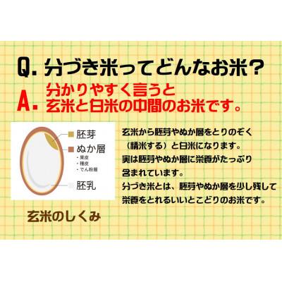 ふるさと納税 花巻市 分づきが選べる　岩手県産ひとめぼれ3kg　7分づき