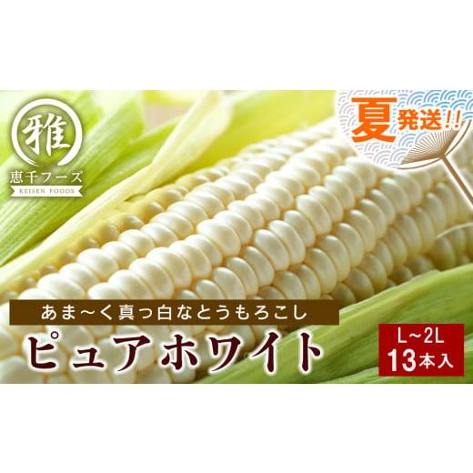 ふるさと納税 北海道 千歳市 2024年夏発送 白いとうもろこし ピュアホワイト L〜2L 13本