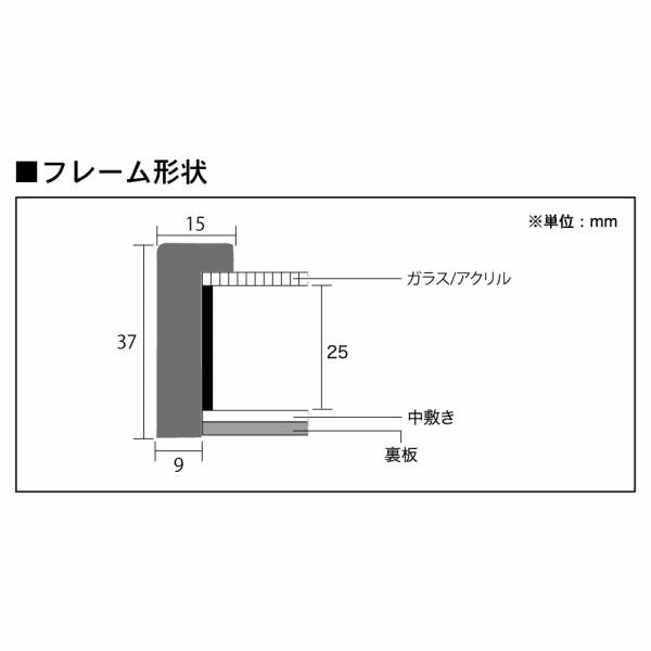 アートプリントジャパン グラーノボックスフレーム ブラック 15角サイズ APJ