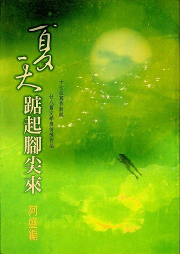 夏天踮起腳尖來[二手書_普通]