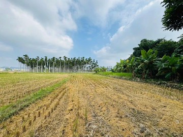 草屯國六旁1.5分經濟農地近鳥嘴潭｜南投縣草屯鎮中原段