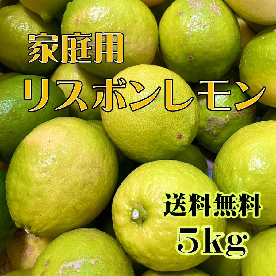 減農薬 熊本県産 リスボン レモン 5kg 送料無料