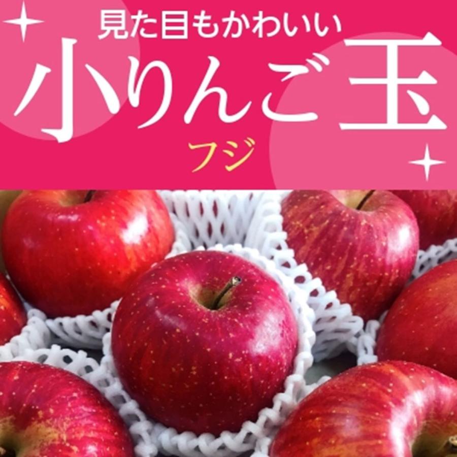 りんご  小玉リンゴ 毎日ちびリンゴ ミニサイズ 1ヵ月分チェックシート付 サンふじ 約5kg 24個 山形県 家庭用 《12 上旬〜12 中旬より出荷》