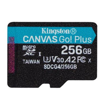 KINGSTON SDCG4 記憶卡-256GB