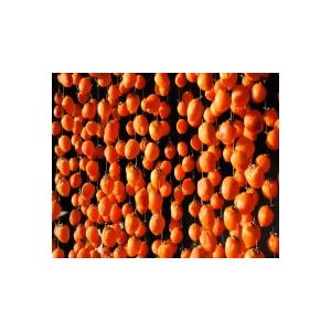 国産　ひとくち　柿　かき　 500gパック  送料無料（国ひとくち柿　500g） 市田柿  半生タイプ