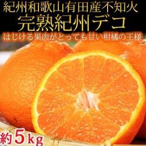 ふるさと納税 果肉プリプリ♪完熟紀州デコ(不知火) 約5kg 和歌山県有田川町