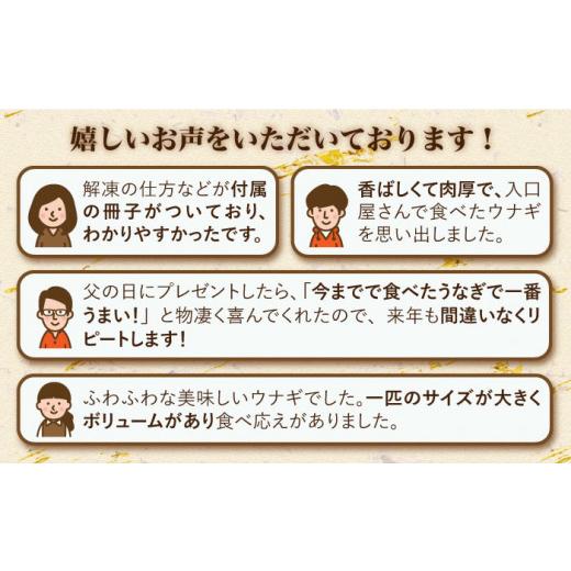 ふるさと納税 長崎県 西海市 秘伝のタレで仕上げた国産うなぎの蒲焼［CCA011］＜入口屋＞