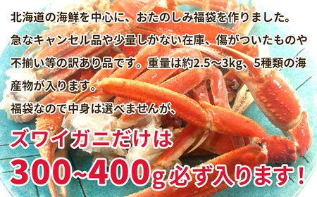 北海道の海鮮＜おたのしみ福袋＞ 訳あり ズワイガニ入り 冷凍 5種 最大2.5～3kg