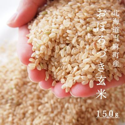 ふるさと納税 当麻町 おぼろづき玄米 150g