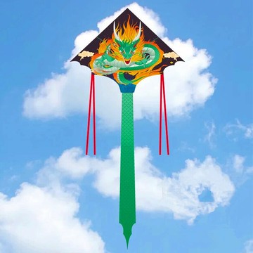 濰坊風箏新款青龍風箏外貿跨境亞馬遜爆款兒童龍風箏玩具翼龍好飛 鑫弘-戶外運動