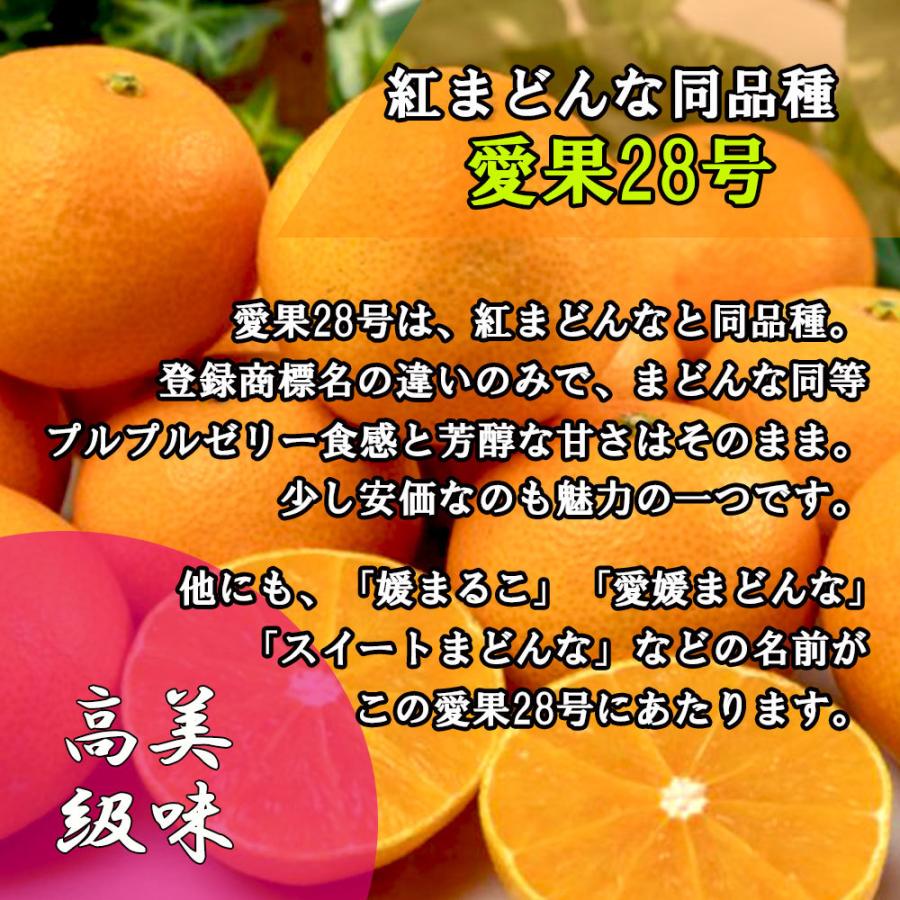 みかん 箱買い 家庭用 紅まどんな 愛果28号 訳あり 小玉 L以下 2ｋｇ 送料無料