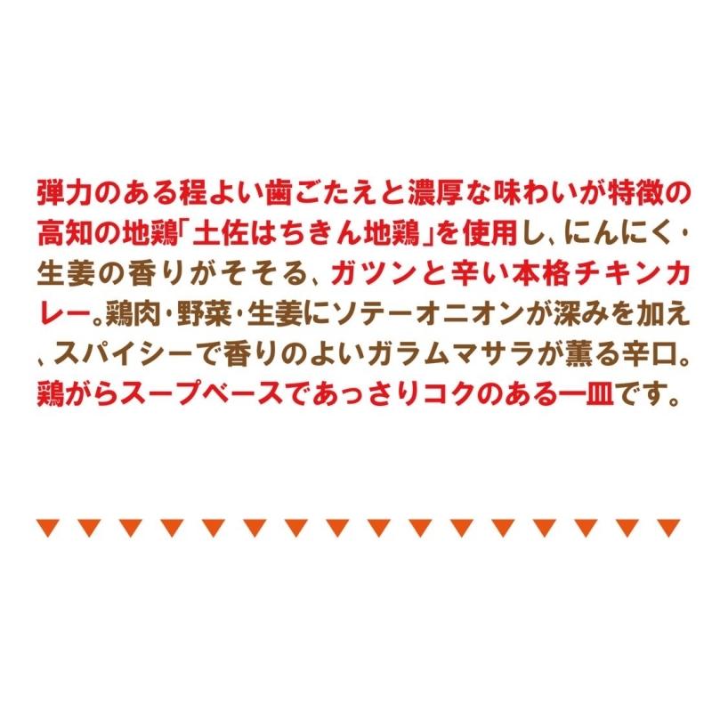 土佐はちきん地鶏のミンチカレー　200g×2袋セット 送料無料  ご当地カレー レトルト