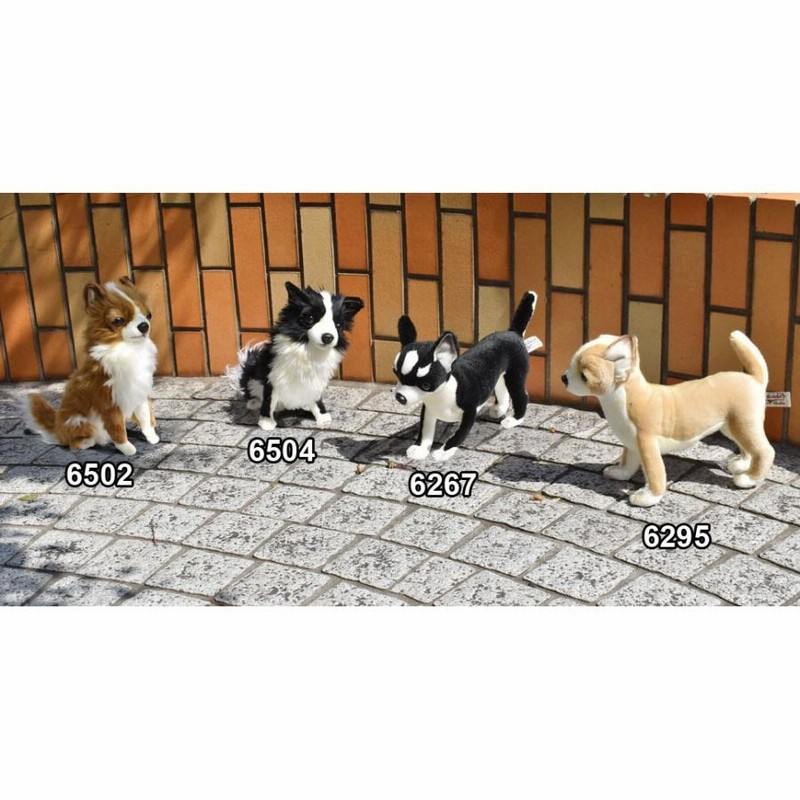 BH6504 チワワ ブラック HANSA ちわわ くろ 黒 いぬ イヌ 犬