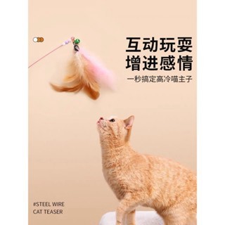 【隔日到貨】貓咪解闷神器 逗貓棒 貓玩具 貓咪自嗨玩具 寵物用品 幼猫 耐咬 铃铛羽毛玩具 项圈 逗猫的用品