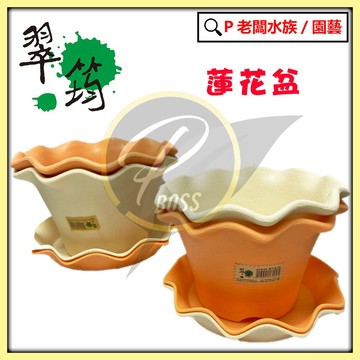 P老闆園藝~翠筠 蓮花盆 蓮花底盤 蓮花皿 花盆 盆栽 塑膠盆