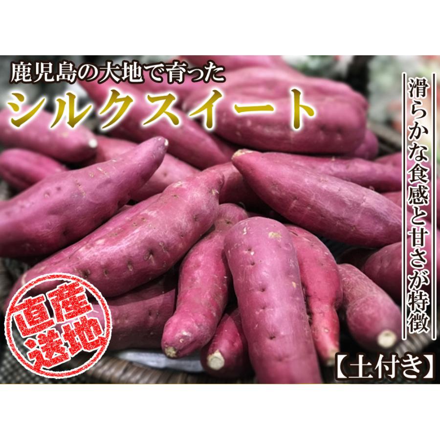 シルクスイート さつまいも 5kg 送料無料 産地直送 産直 土付き さつま芋 薩摩芋 焼きいも 焼き芋 鹿児島県産 FJK-001