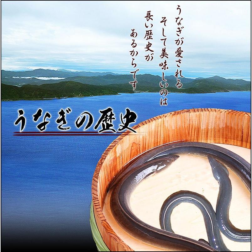 ギフト うなぎ 蒲焼き 国産 鰻 うなぎ蒲焼き 九州産 超特大 2尾(1尾約230〜250g前後) 送料無料