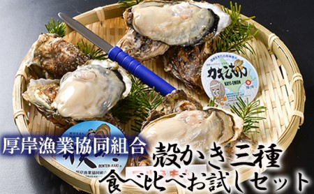 北海道厚岸産 殻かき三種 食べ比べ お試し セット　牡蠣