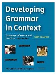 Developing Grammar in Context Intermediate with Answers (1版) Nettle  Cambridge