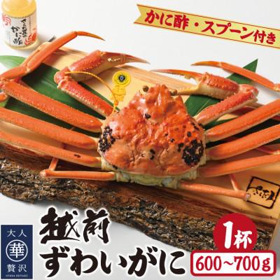 ふるさと納税 越前町 浜茹で越前ずわい約600〜700g　1杯　かに酢かにスプーン付き