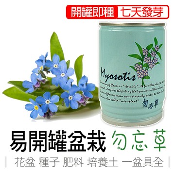 【買5送1】勿忘草 香草盆栽 花卉盆栽易開罐頭盆栽 iPlant 懶人盆栽 種子 盆栽 台灣製