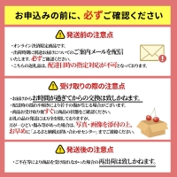 先行受付 2024年7月から出荷 北海道 仁木町産 サクランボ 紅秀峰 1.2kg 厳選品  松山商店