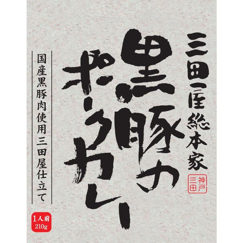 送料無料！三田屋総本家黒毛和牛のビーフカレー＆黒豚のポークカレー各５個１０個入セット