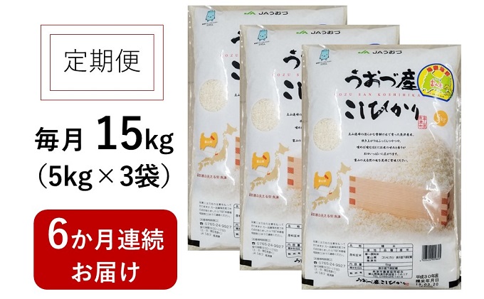 15kg（5kg3袋）×6ヶ月定期便　富山県うおづ産米コシヒカリ 白米 富山米