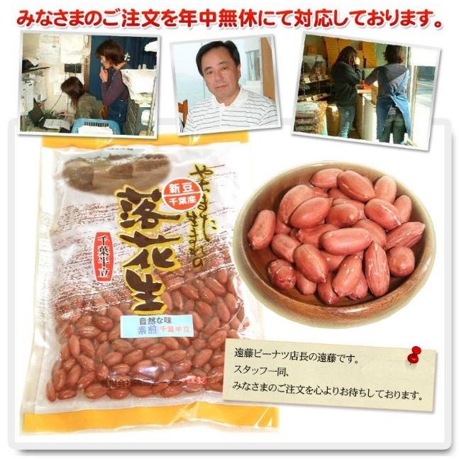 2023年度産 新豆 素煎（千葉半立）400g 千葉県八街産落花生