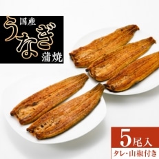 国産うなぎ蒲焼5尾