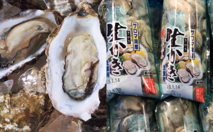 カキ 殻付き2年貝約2.5kg・むき身1年貝400g（200g無水パック×2） セット 佐呂間産  牡蠣 海鮮 魚介