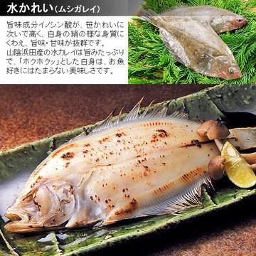 お歳暮ギフト ギフト プレゼント ギフト 干物 のどぐろ あじ 水かれい 沖ギス 計8枚 仲良く干物詰合せ