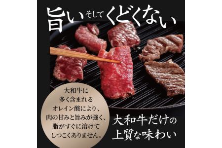 牛肉 和牛 ブランド牛 大和牛 焼肉セット 大和牛専門店 一 H-45