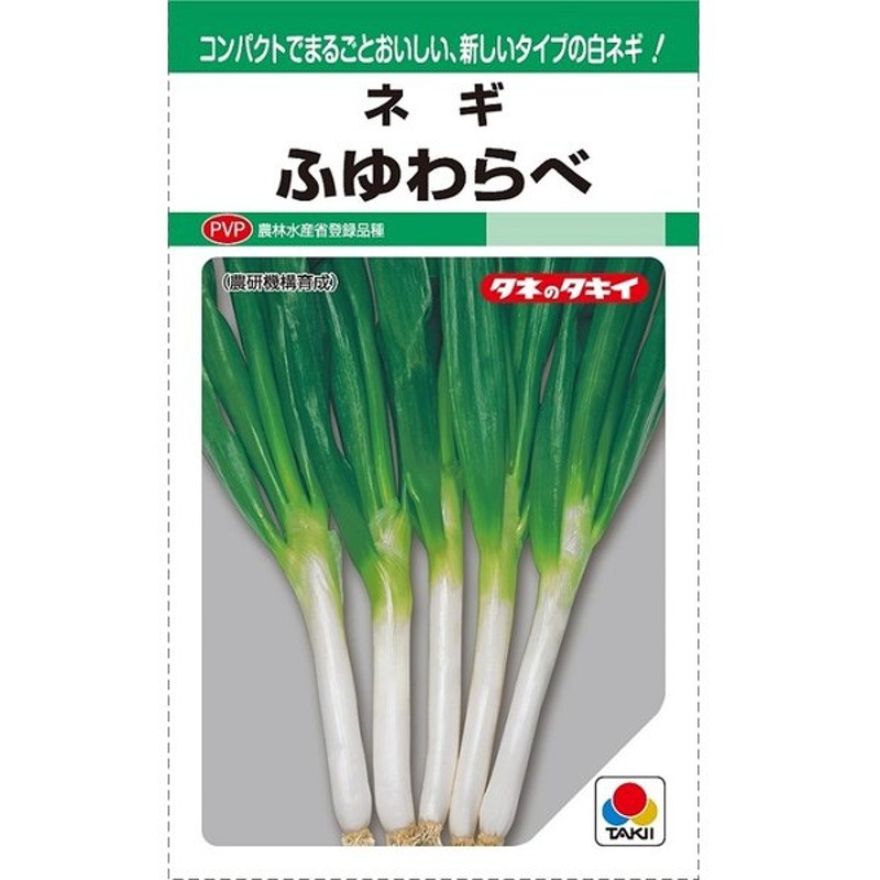 51円 倉 ネギ 葱 タネ リーキ 1袋 5ml 種 野菜たね