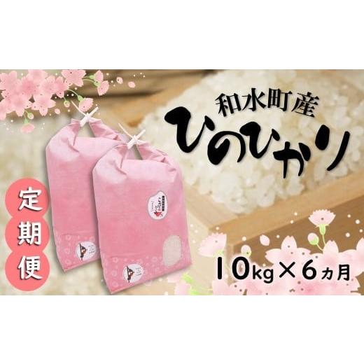 ふるさと納税 熊本県 和水町 熊本県産「ひのひかり」10kg