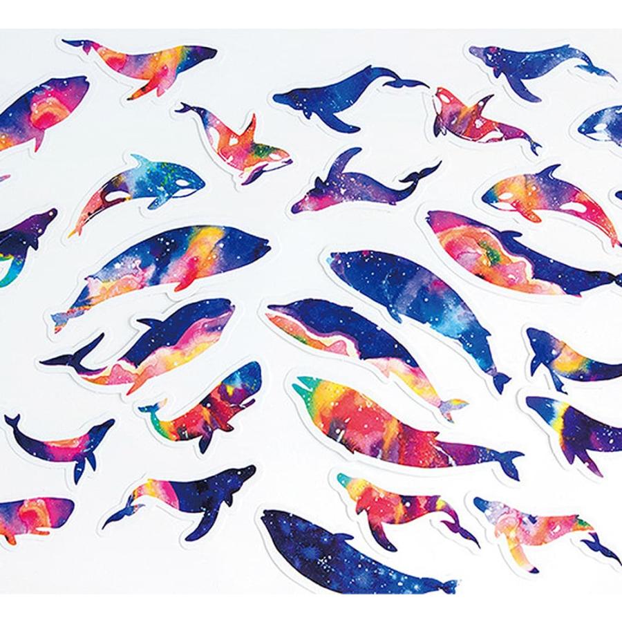 オラクルカード水彩画の美麗イラストイルカやクジラに会える海のデッキ