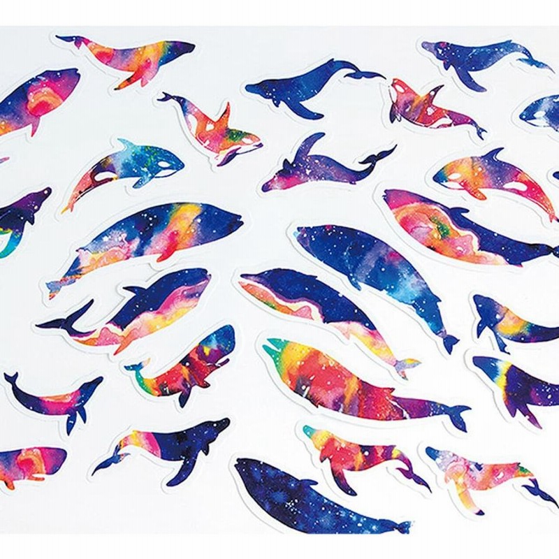 【正規品オラクルカード】水彩画の美麗イラスト✨イルカやクジラに会える海のデッキ Amazon.co.jp: 入手困難水彩画の美麗デッキイルカやクジラに