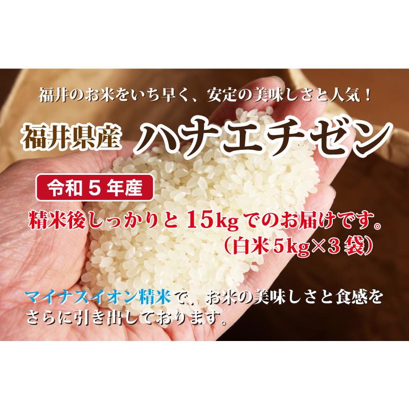 令和５年産 福井県産ハナエチゼン 15kg 白米 安い 5kg×3 ブランド米 単一原料米 送料無料