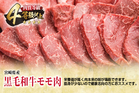 数量限定 黒毛和牛 赤身肉 豚ロース 焼肉 食べ比べ セット 合計800g 肉 牛肉 豚肉 国産_BB104-23