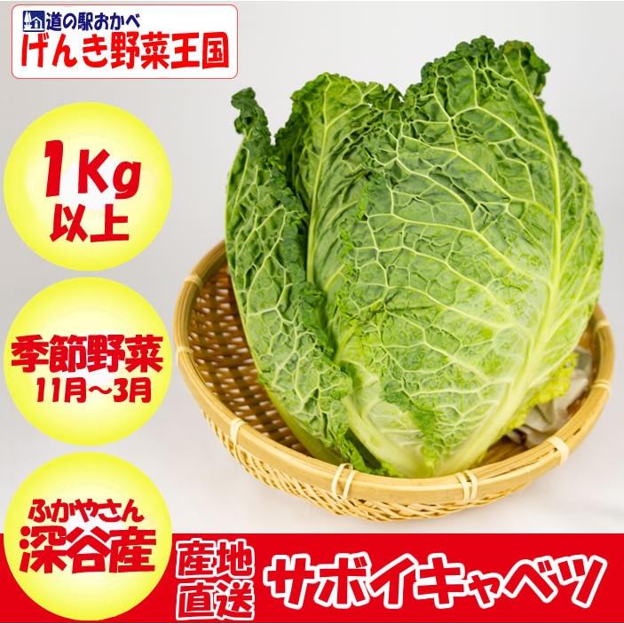 埼玉県深谷市産】　11月〜12月　サボイキャベツ（ちりめんキャベツ）1kg以上【送料別　LINEショッピング