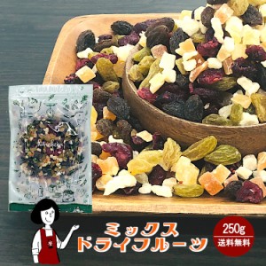 ミックスドライフルーツ　250g〔チャック付〕メール便 送料無料 チャック付 レーズン クランベリー パパイヤ パイナップル おやつ 製菓材