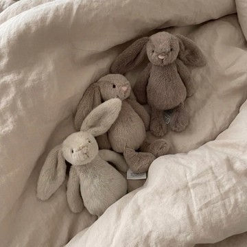 【預購】JELLYCAT 520送禮推薦💝 叢林動 芙蓉邦尼兔 毛絨公仔 18cm 毛絨公仔 娃娃 海外代購保證正版 情人節禮物 情人節快樂