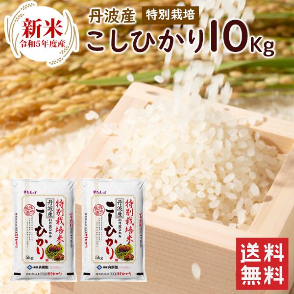 新米 特別栽培  丹波産（兵庫県）コシヒカリ10kg（5kg×2袋）  送料無料 令和5年産 特別栽培  精米 お米 （北海道・沖縄別途送料）（配達日・時間指定は不可）